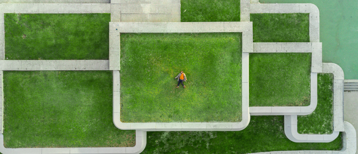 In a world where steel and glass skyscrapers dominate urban landscapes, a transformative wave brings nature back to our cities. Once niche concepts, green roofs, and living walls have burg...