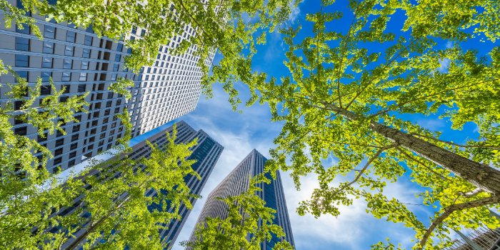 Sustainable architecture is a game-changer for our cities. It focuses on designing buildings that are environmentally friendly and resource-efficient. This approach is crucial as urban areas continue to expand.


Why does sustainable architectur...